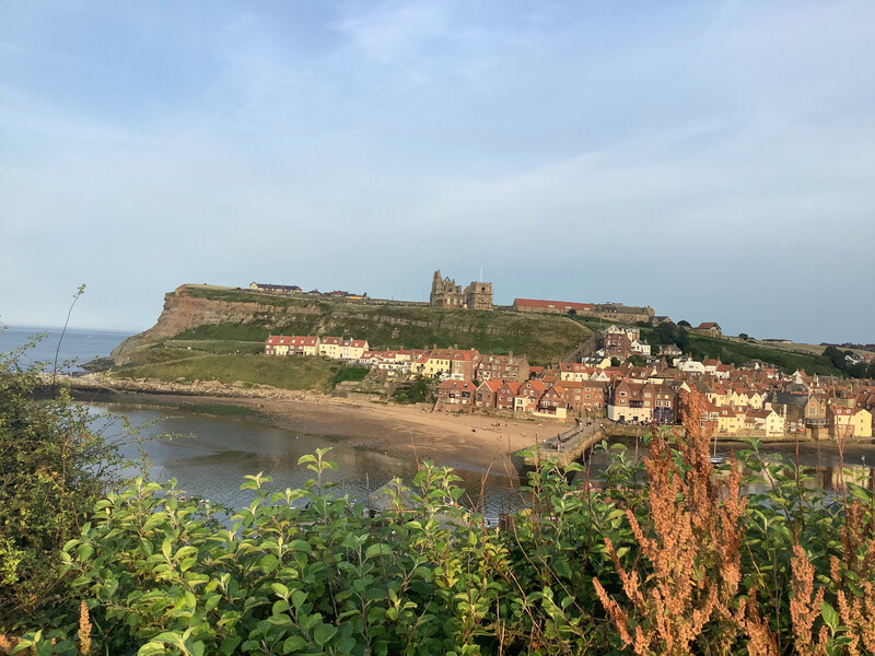 View from the West Cliff across to the East Cliff with St Mary's Church on top. Even in a higher-resolution version of this picture it's hard to tell benches from tombstones.