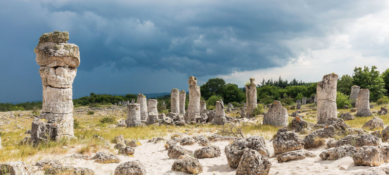 Photo of the Pobiti Kamani area with roughly cylindrical spires of stone rising from the ground.